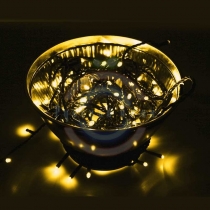 Гирлянда светодиодная «Нить» 10м, постоянное свечение, чёрный ПВХ, 220В, цвет:Золото