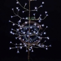 Дерево «Сакура», ствол и ветки фольга, высота 1,5м, 120 светодиодов белого цвета, трансформатор IP44