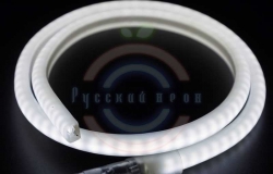 Гибкий неон LED SMD, форма - D, белый, 120 LED/м, бухта 100м