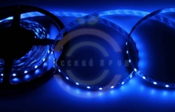 LED лента открытая, 10мм, IP23, SMD 5050, 60 LED/m, 12V, синяя