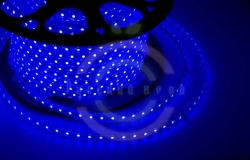 LED лента 220В, 10*7мм, IP65, SMD 3528, 60 LED/m синяя, бухта 100м
