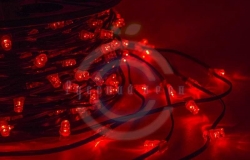 Гирлянда «LED ClipLight» 12V 150мм, цвет диодов красный