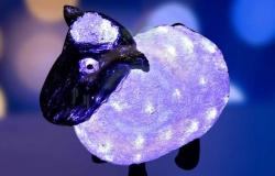 Акриловая светодиодная фигура «Овца» 30см, 56 светодиодов, IP65, 24В