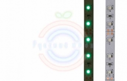 LED лента открытая, 8мм, IP23, SMD 3528, 60 LED/m, 12V, зеленая