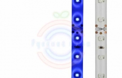 LED лента силикон, 8мм, IP65, SMD 3528, 60 LED/m, 12V, синяя
